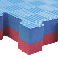 AKTIV PRO MAT-40-RED-BLUE