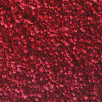 ALICENT BC - ROSE REGENCY