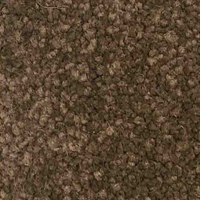 ALICENT BC - WALNUT SPLENDOR