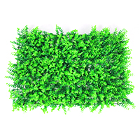 EUCALYPTUS LAWN GRASS -1703-36