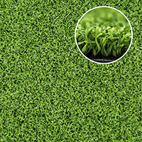 MULTI SPORT 12-GREEN