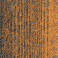 PINNACLE CT - SP02 Thunder Yellow