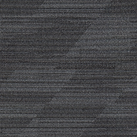 OBLIQUE CT - NIGHT ASH