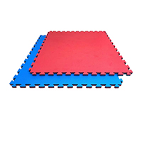 [519] AKTIV PUZZLE MAT-25-RED-BLUE