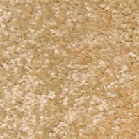 [1409] ALICENT BC - DESERT DUNE