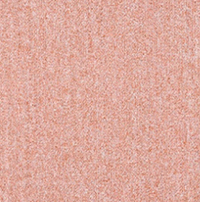 [1087] BIGIN CT-GOLDEN POPPY