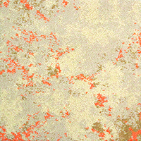 [1154] DECEPTION BC - LS2 BEIGE