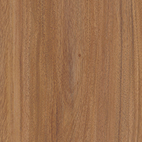 [843] ELEGANT CLIQ 4 TAWNY TEAK