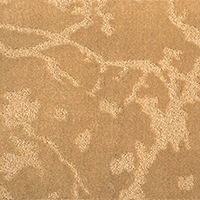 [1117] LINDON BC - LN01 GOLDEN BEIGE