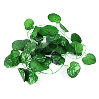 [692] LOTUSLEAF -1704-3