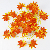 [695] MAPLELEAF-1704-7