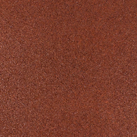 [515] PLAYMAT STANDARD 25-RED