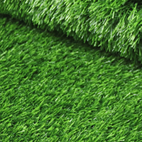 [557] ROYAL GREEN 25