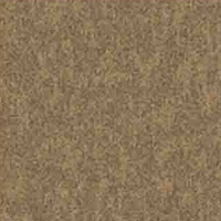 [1372] SUNFYRE CT - GOLDEN TWILIGHT