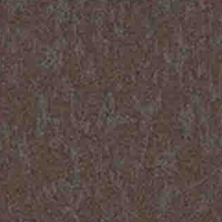 [1375] SUNFYRE CT - STAR DUST