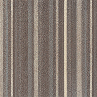 [1142] TRENDLINE CT - XM02 Caramel Craze