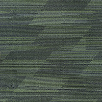 [1523] OBLIQUE CT - DEEP FOREST